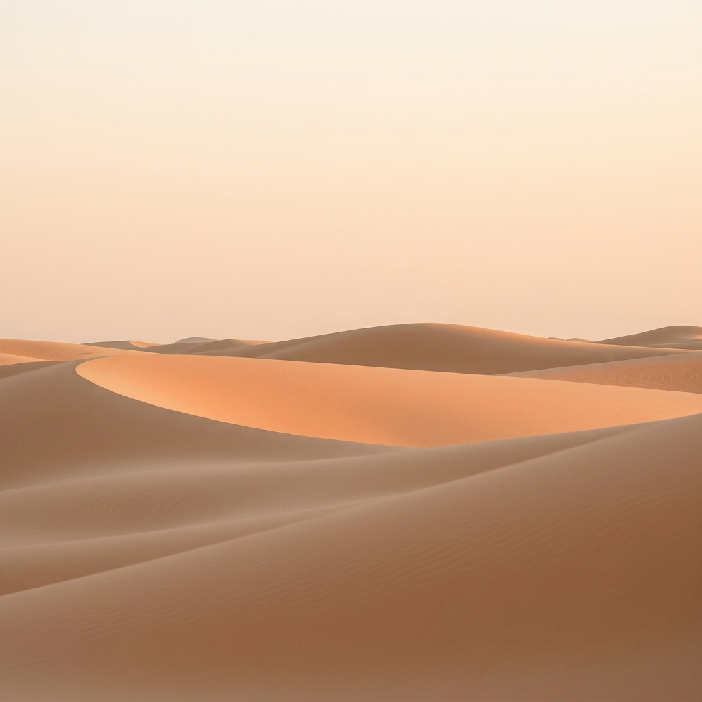 A 4x4 driving along a quiet road in Boa Vista at golden hour